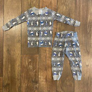 2T (85cm) Hanna Andersson Penguin Pajamas